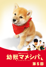 ドラマ版 幼獣マメシバ episode5